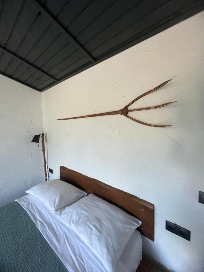 Casa Valeria Baisoara别墅 外观 照片