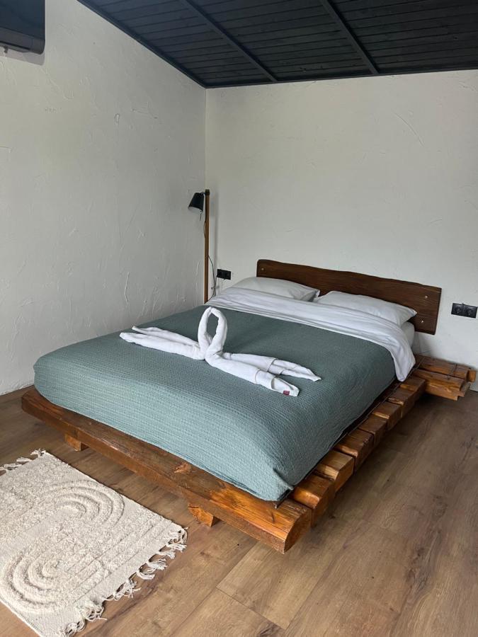 Casa Valeria Baisoara别墅 外观 照片
